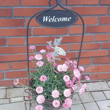 Schlingshoehe - Oberwohnung Mit Separater Terrasse *
