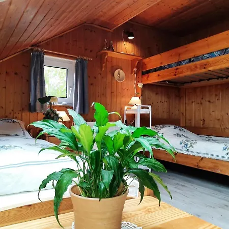 Schlingshoehe - Oberwohnung Mit Separater Terrasse *