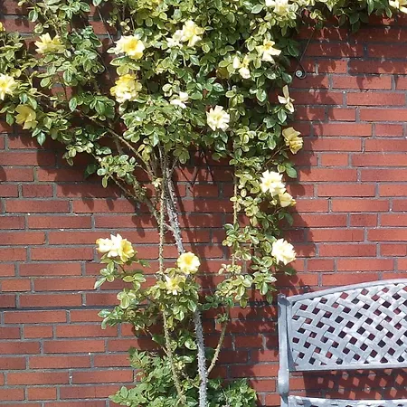 Appartamento Schlingshoehe - Oberwohnung Mit Separater Terrasse