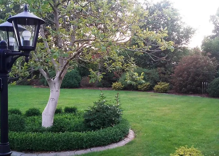 Schlingshoehe - Oberwohnung Mit Separater Terrasse